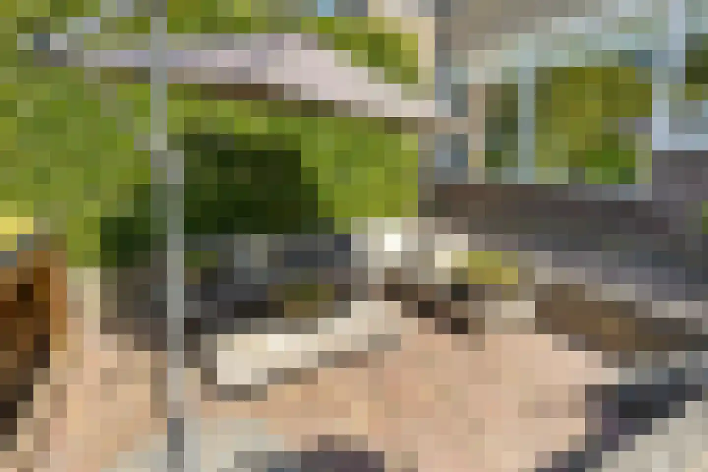 Simon Pauwelslaan 19 Akersloot thumbnail 36