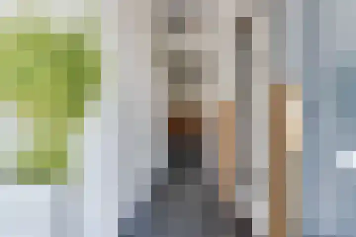 Simon Pauwelslaan 22 Akersloot thumbnail 12