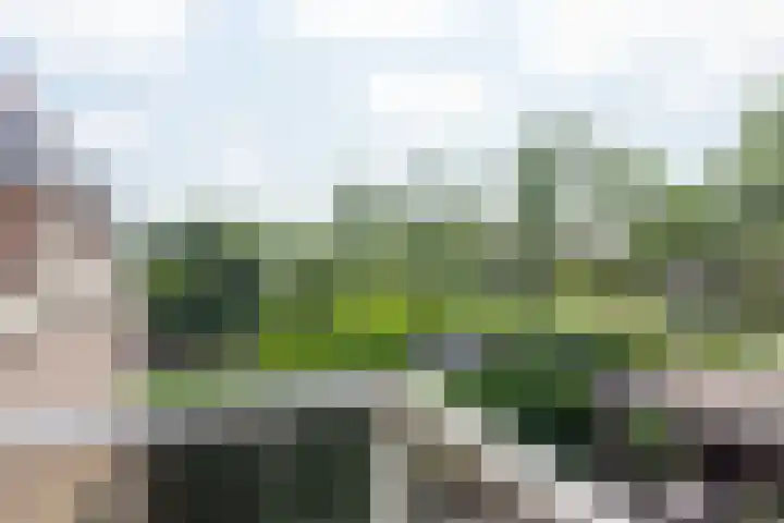 Simon Pauwelslaan 22 Akersloot thumbnail 38