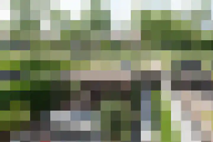 Simon Pauwelslaan 22 Akersloot thumbnail 39