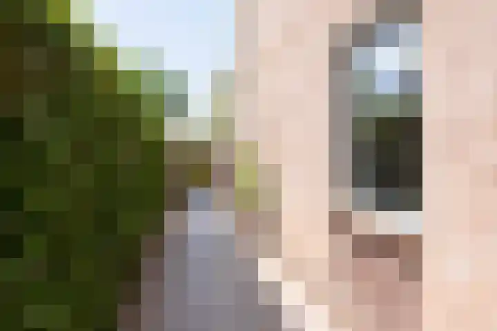 Simon Pauwelslaan 22 Akersloot thumbnail 61