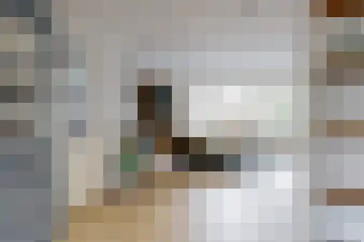 Simon Pauwelslaan 24 Akersloot thumbnail 22