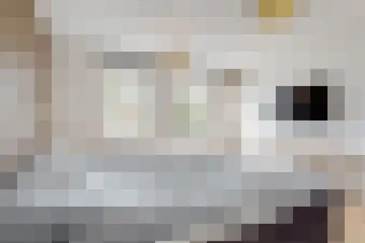 Simon Pauwelslaan 24 Akersloot thumbnail 24