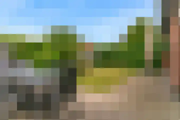 Simon Pauwelslaan 24 Akersloot thumbnail 47