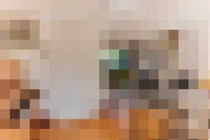 Simon Pauwelslaan 6 Akersloot thumbnail 14
