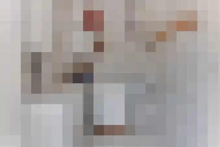 Simon Pauwelslaan 6 Akersloot thumbnail 21