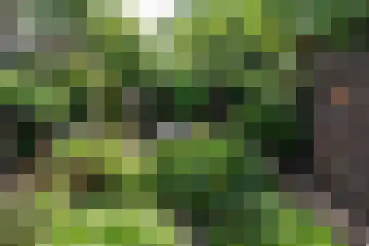 Simon Pauwelslaan 6 Akersloot thumbnail 37