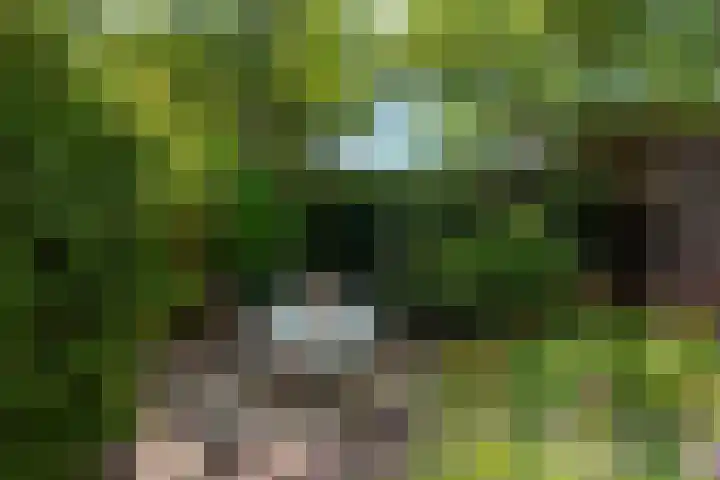 Simon Pauwelslaan 6 Akersloot thumbnail 39