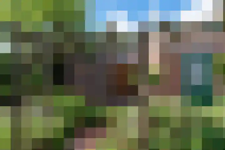 Simon Pauwelslaan 6 Akersloot thumbnail 40