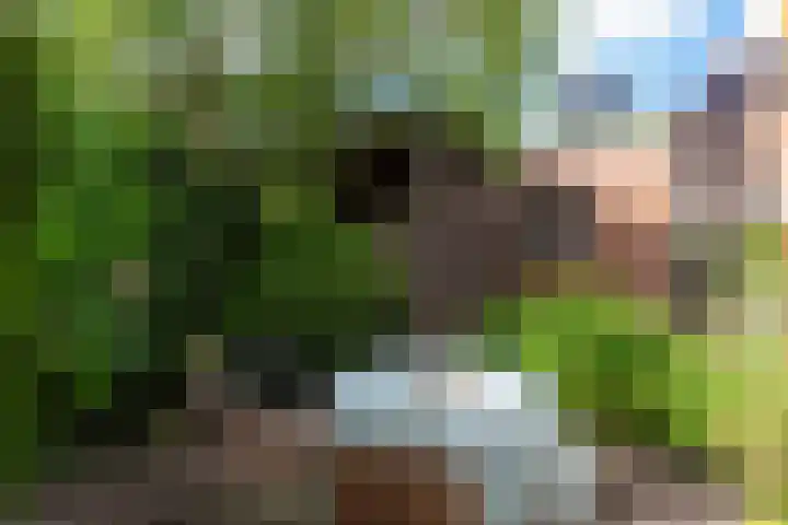 Simon Pauwelslaan 6 Akersloot thumbnail 42