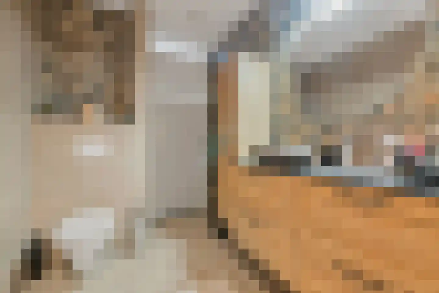 Simon Rijnbendestraat 10 Schiedam thumbnail 31