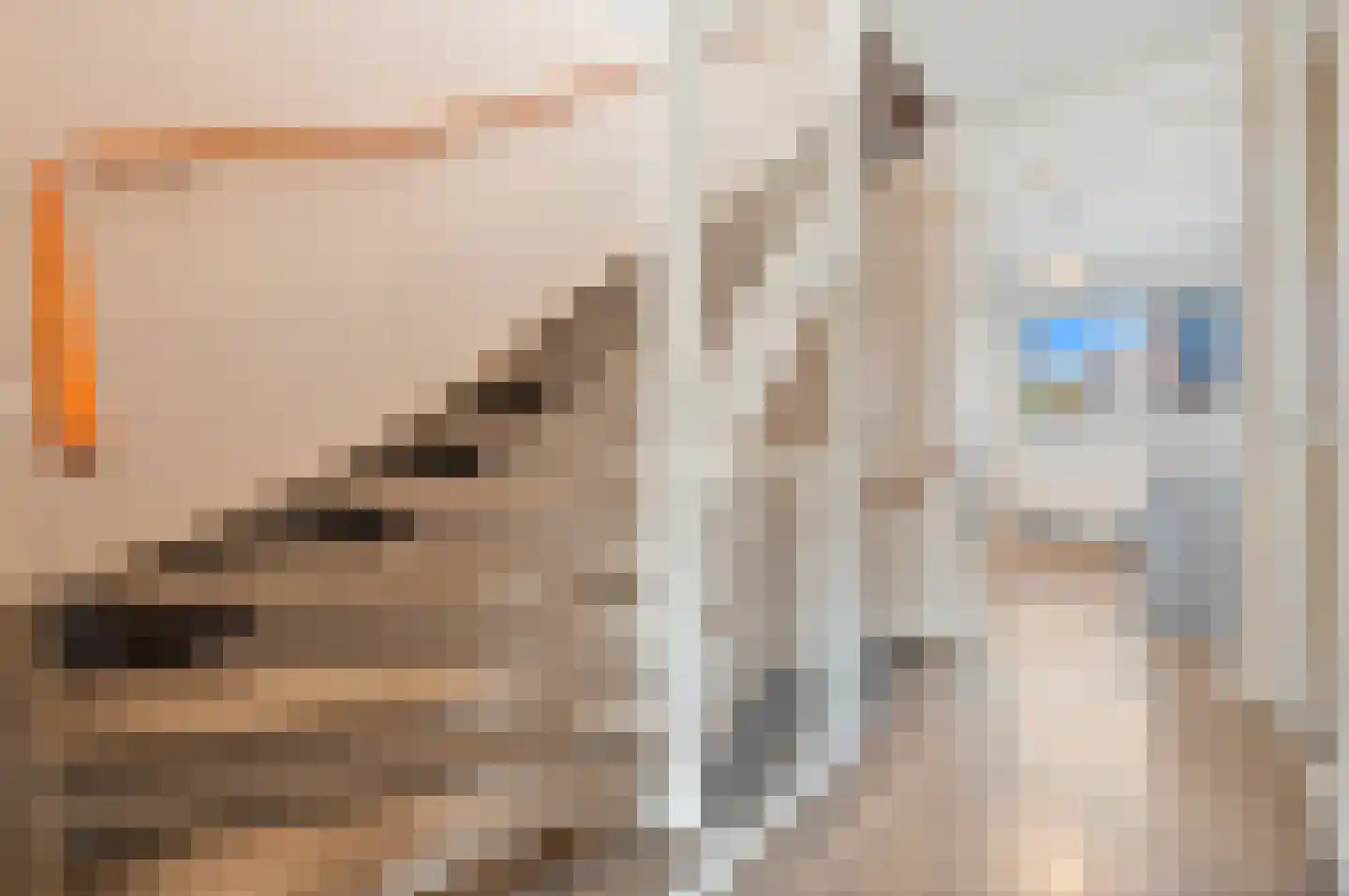 Simon Rijnbendestraat 10 Schiedam thumbnail 33