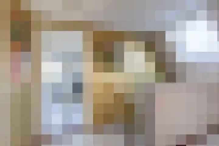 Simon Sipmastrjitte 16 Kimswerd thumbnail 15