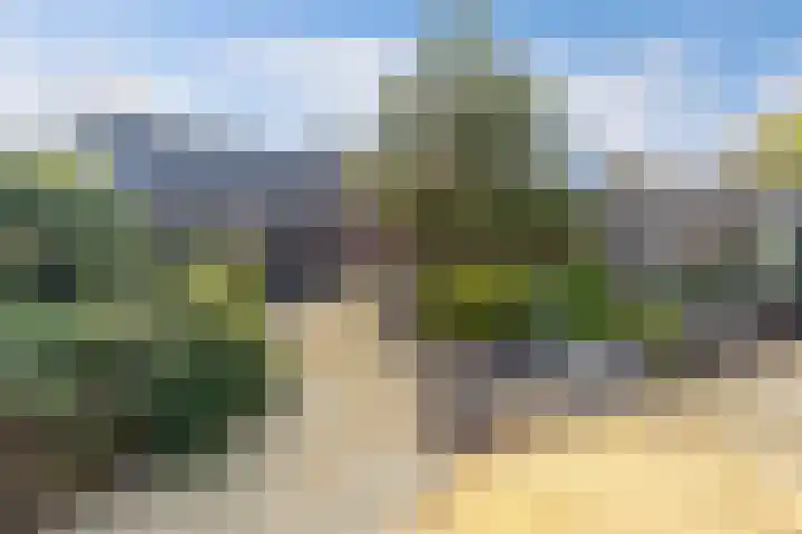 Simon Sipmastrjitte 16 Kimswerd thumbnail 27