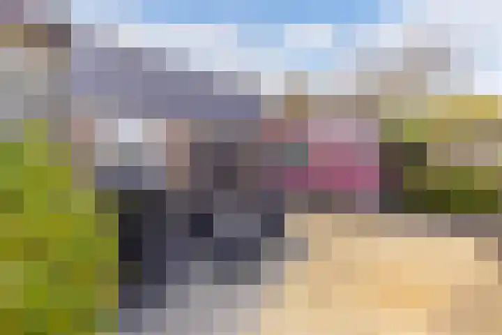 Simon Sipmastrjitte 16 Kimswerd thumbnail 28