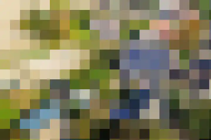 Simon Sipmastrjitte 16 Kimswerd thumbnail 30