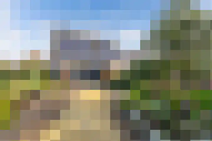 Simon Sipmastrjitte 16 Kimswerd thumbnail 33