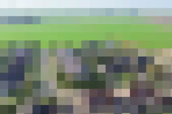 Simon Sipmastrjitte 16 Kimswerd thumbnail 34
