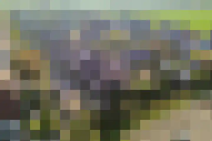 Simon Sipmastrjitte 16 Kimswerd thumbnail 36