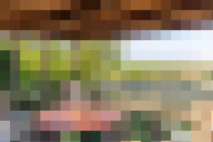 Simon Sipmastrjitte 16 Kimswerd thumbnail 40