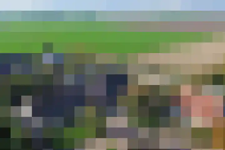 Simon Sipmastrjitte 16 Kimswerd thumbnail 5