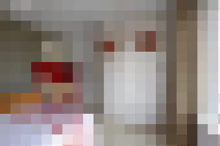 Simon Sipmastrjitte 16 Kimswerd thumbnail 8