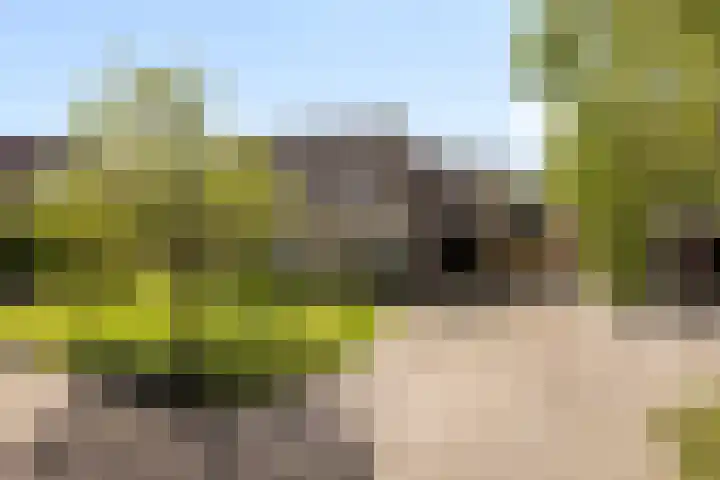 Simon Sipmastrjitte 18 en Kimswerd
