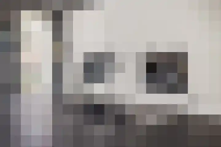 Simon Sipmastrjitte 18 Kimswerd thumbnail 14