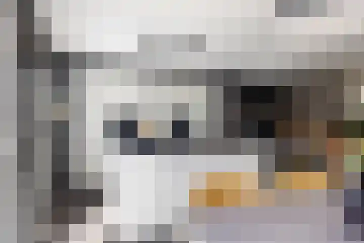 Simon Sipmastrjitte 18 Kimswerd thumbnail 17