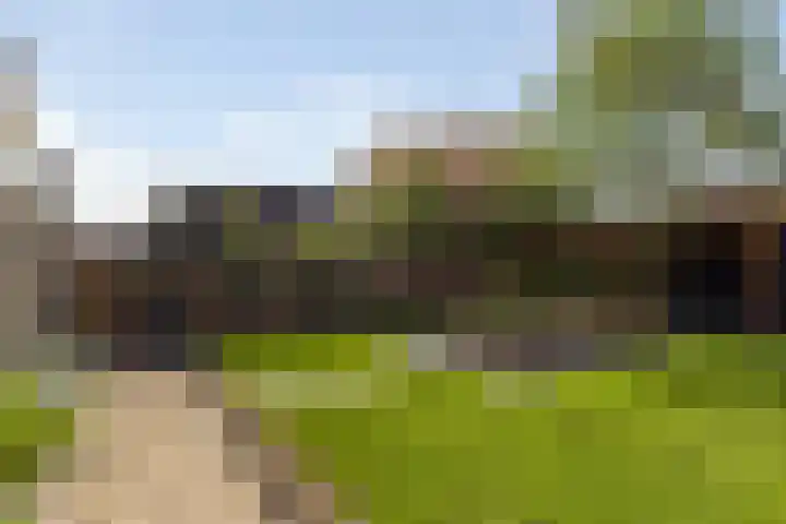 Simon Sipmastrjitte 18 Kimswerd thumbnail 20