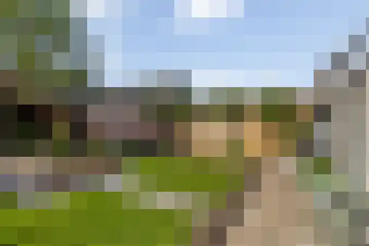Simon Sipmastrjitte 18 Kimswerd thumbnail 21