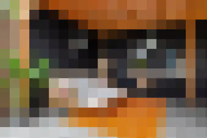 Simon Sipmastrjitte 18 Kimswerd thumbnail 22