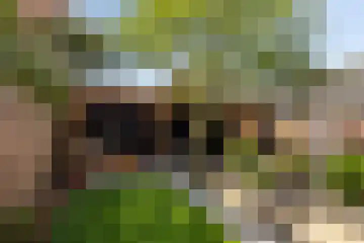 Simon Sipmastrjitte 18 Kimswerd thumbnail 25