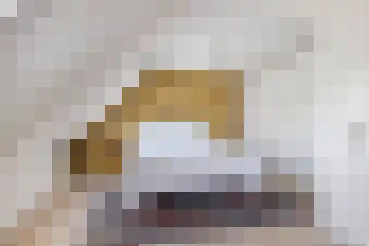 Simon Sipmastrjitte 18 Kimswerd thumbnail 27