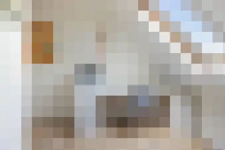 Simon Sipmastrjitte 18 Kimswerd thumbnail 31