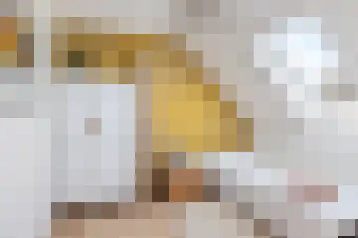 Simon Sipmastrjitte 18 Kimswerd thumbnail 33