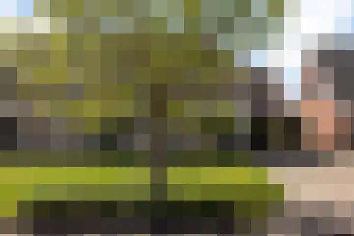 Simon Sipmastrjitte 18 Kimswerd thumbnail 40
