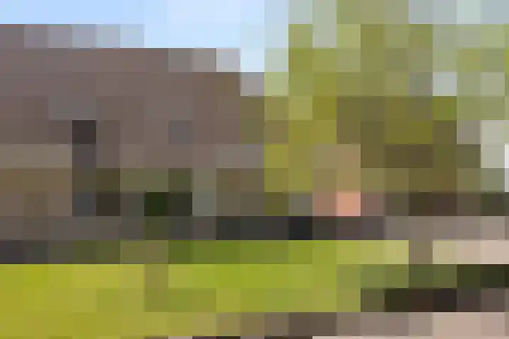 Simon Sipmastrjitte 18 Kimswerd thumbnail 41