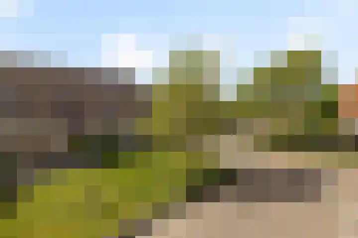 Simon Sipmastrjitte 18 Kimswerd thumbnail 42