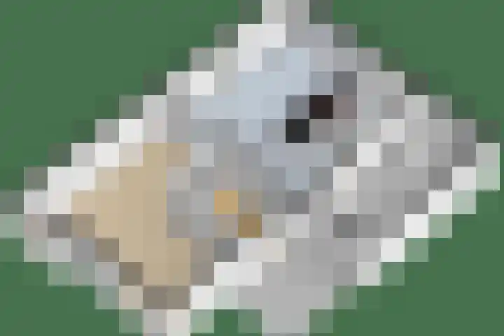 Simon Sipmastrjitte 18 Kimswerd thumbnail 46