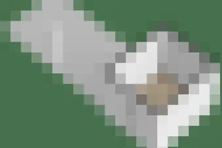 Simon Sipmastrjitte 18 Kimswerd thumbnail 52
