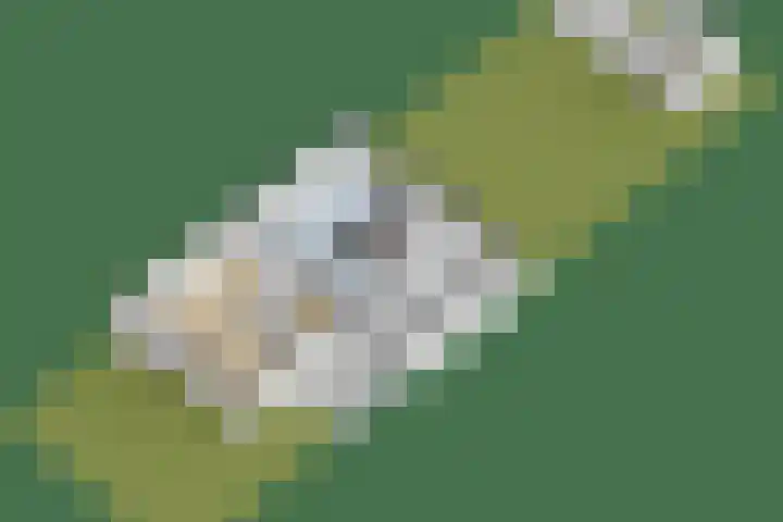 Simon Sipmastrjitte 18 Kimswerd thumbnail 54