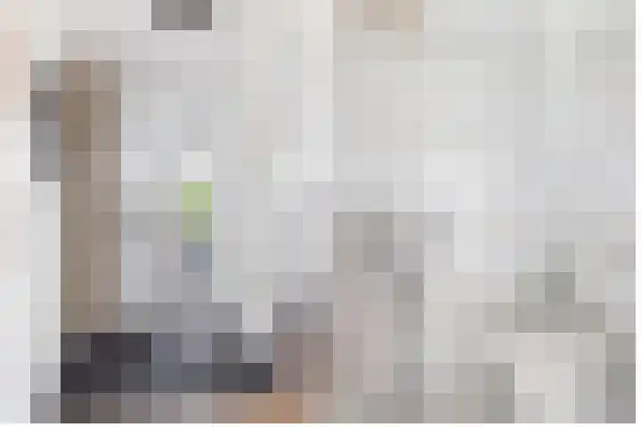 Simon Sipmastrjitte 18 Kimswerd thumbnail 6