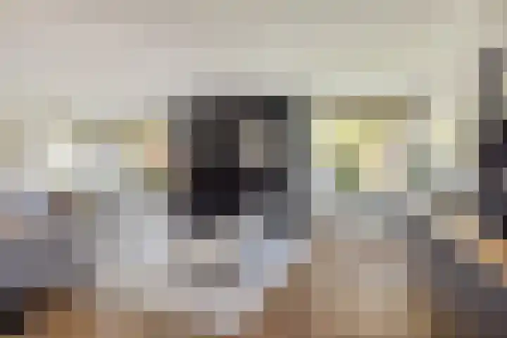 Simon Sipmastrjitte 18 Kimswerd thumbnail 8