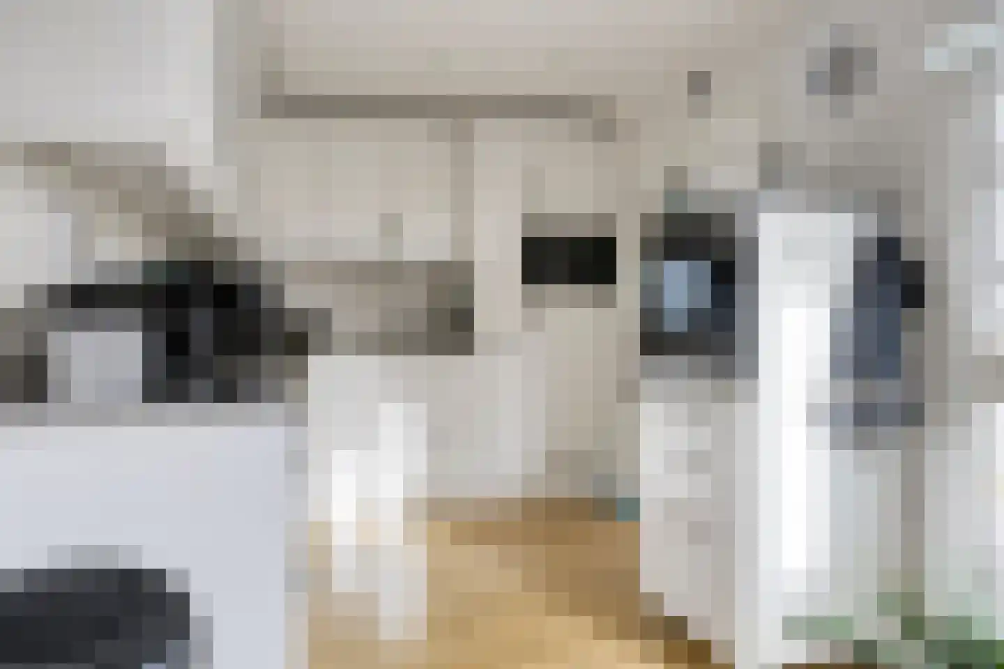 Simon Sipmastrjitte 3 A Kimswerd thumbnail 10