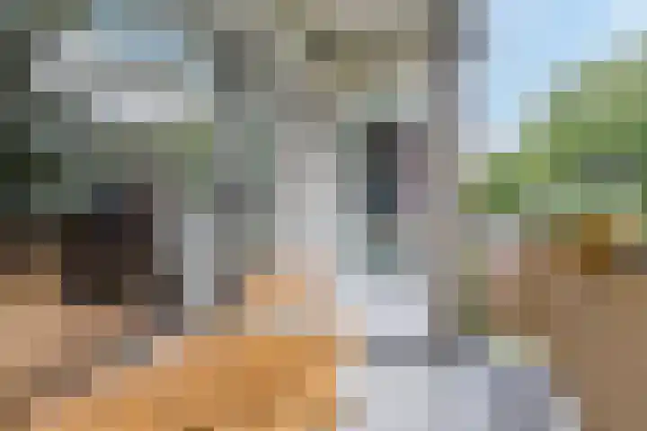 Simon Stevinlaan 116 Soesterberg thumbnail 22