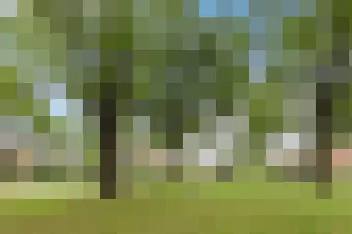 Simon Stevinlaan 116 Soesterberg thumbnail 33