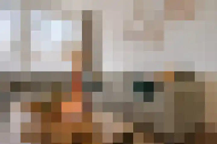 Simon Stevinlaan 15 Soesterberg thumbnail 4