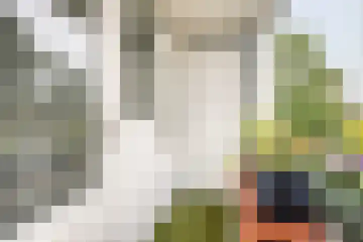 Simon Stevinlaan 20 Soesterberg thumbnail 18