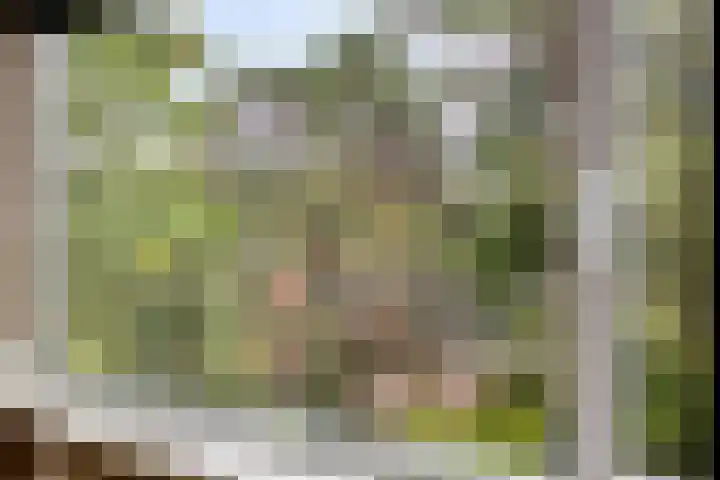 Simon Stevinlaan 20 Soesterberg thumbnail 20